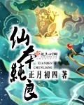 Z小姐的回忆录