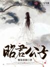 闯入者